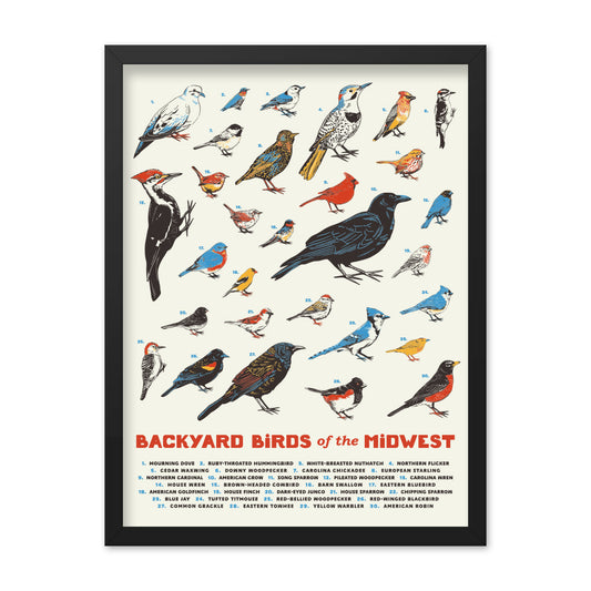 Backyard Birds of the Midwest Poster - United State of Indiana