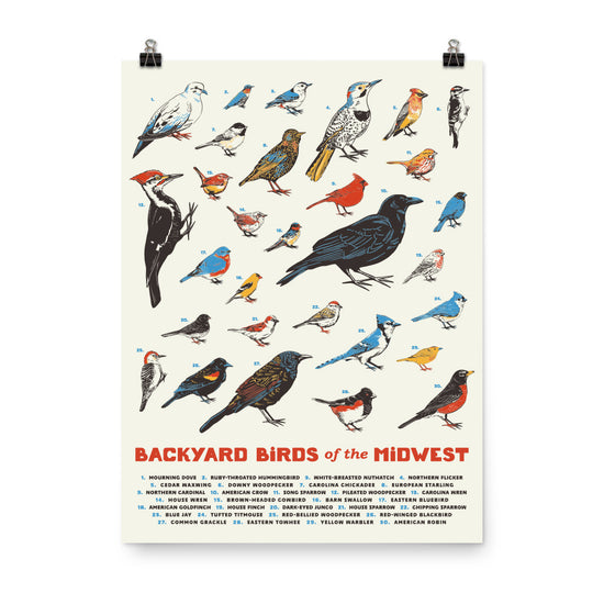 Backyard Birds of the Midwest Poster - United State of Indiana
