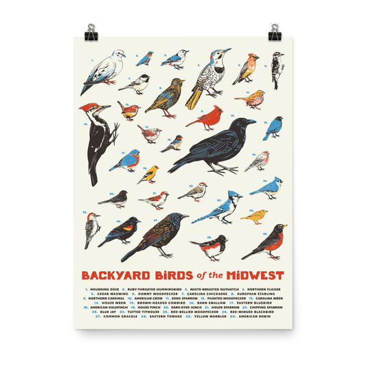 Backyard Birds of the Midwest Poster - United State of Indiana