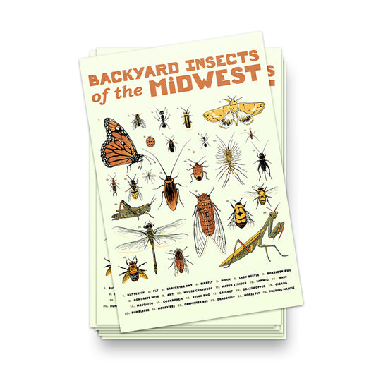 Backyard Insects of the Midwest Postcard