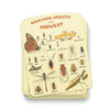 Backyard Insects of the Midwest Sticker - United State of Indiana