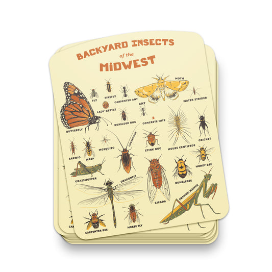 Backyard Insects of the Midwest Sticker - United State of Indiana