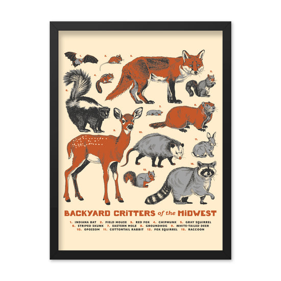 Backyard Critters of the Midwest Poster - United State of Indiana
