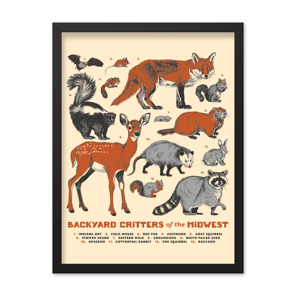 Backyard Critters of the Midwest Poster - United State of Indiana