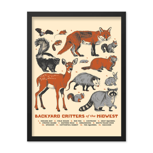 Backyard Critters of the Midwest Poster - United State of Indiana