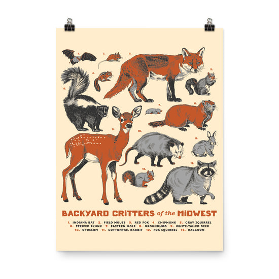 Backyard Critters of the Midwest Poster - United State of Indiana