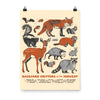Backyard Critters of the Midwest Poster - United State of Indiana