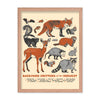 Backyard Critters of the Midwest Poster - United State of Indiana