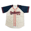 Indiana State Fair Baseball Jersey