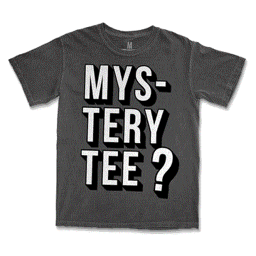 Mystery Tee ***CLEARANCE*** - United State of Indiana