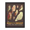 Owls of the Midwest Poster - United State of Indiana