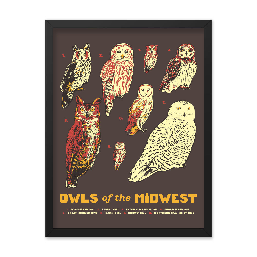 Owls of the Midwest Poster - United State of Indiana