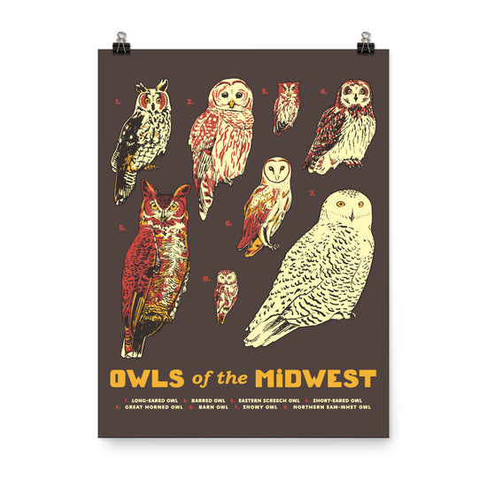 Owls of the Midwest Poster - United State of Indiana