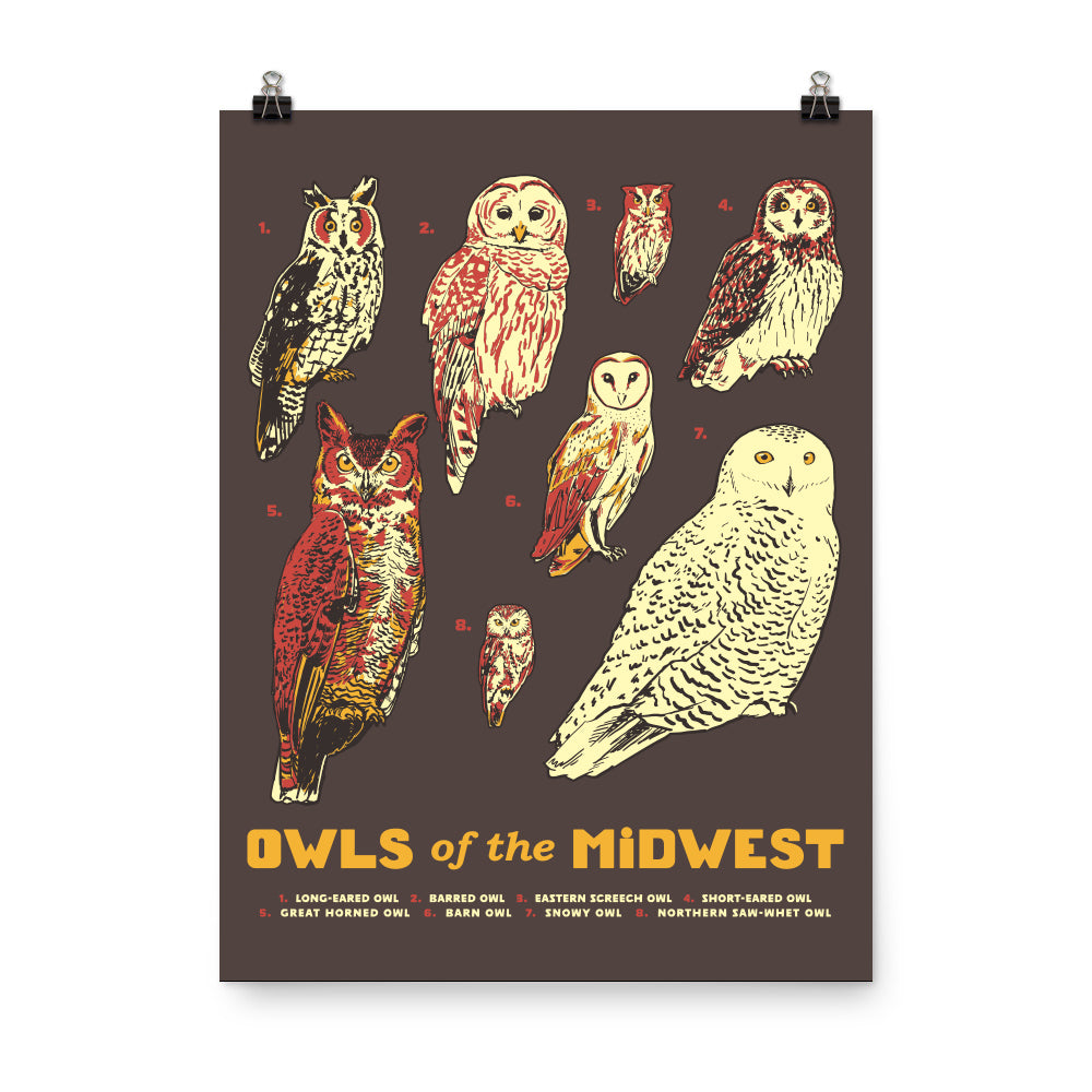 Owls of the Midwest Poster - United State of Indiana