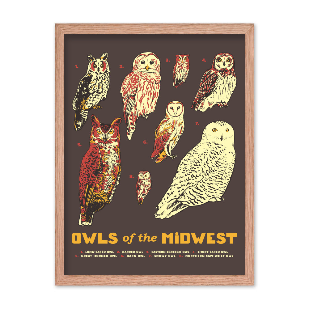 Owls of the Midwest Poster - United State of Indiana