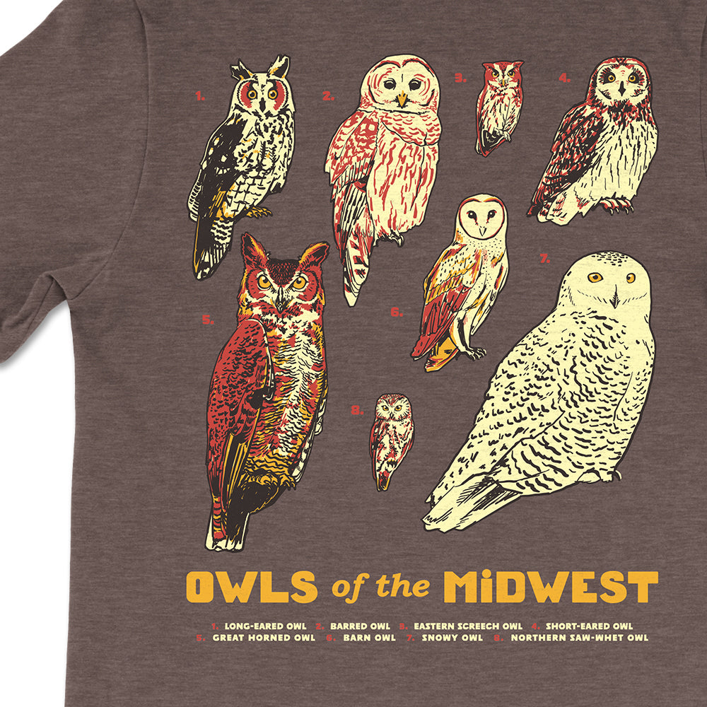 Owls of the Midwest Tee - United State of Indiana