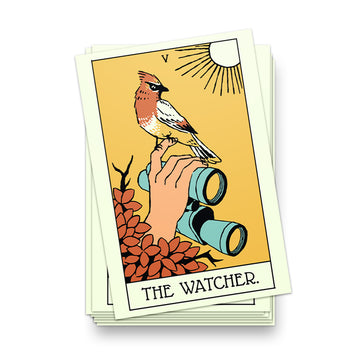 The Bird Watcher Postcard
