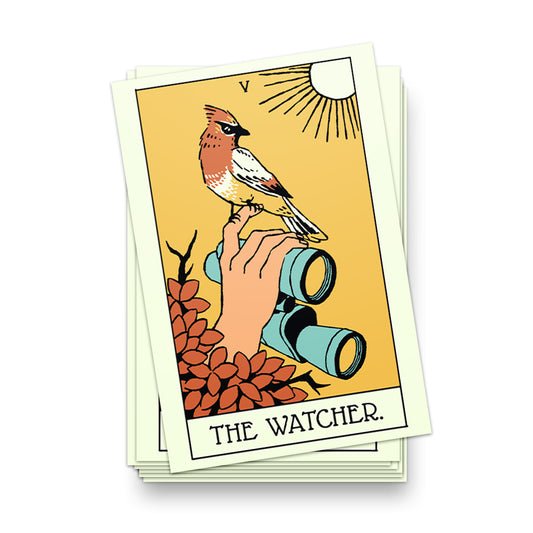 The Bird Watcher Postcard