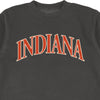 Vintage Indiana Crewneck - United State of Indiana