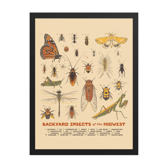 Backyard Insects of the Midwest Poster - United State of Indiana
