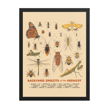 Backyard Insects of the Midwest Poster - United State of Indiana