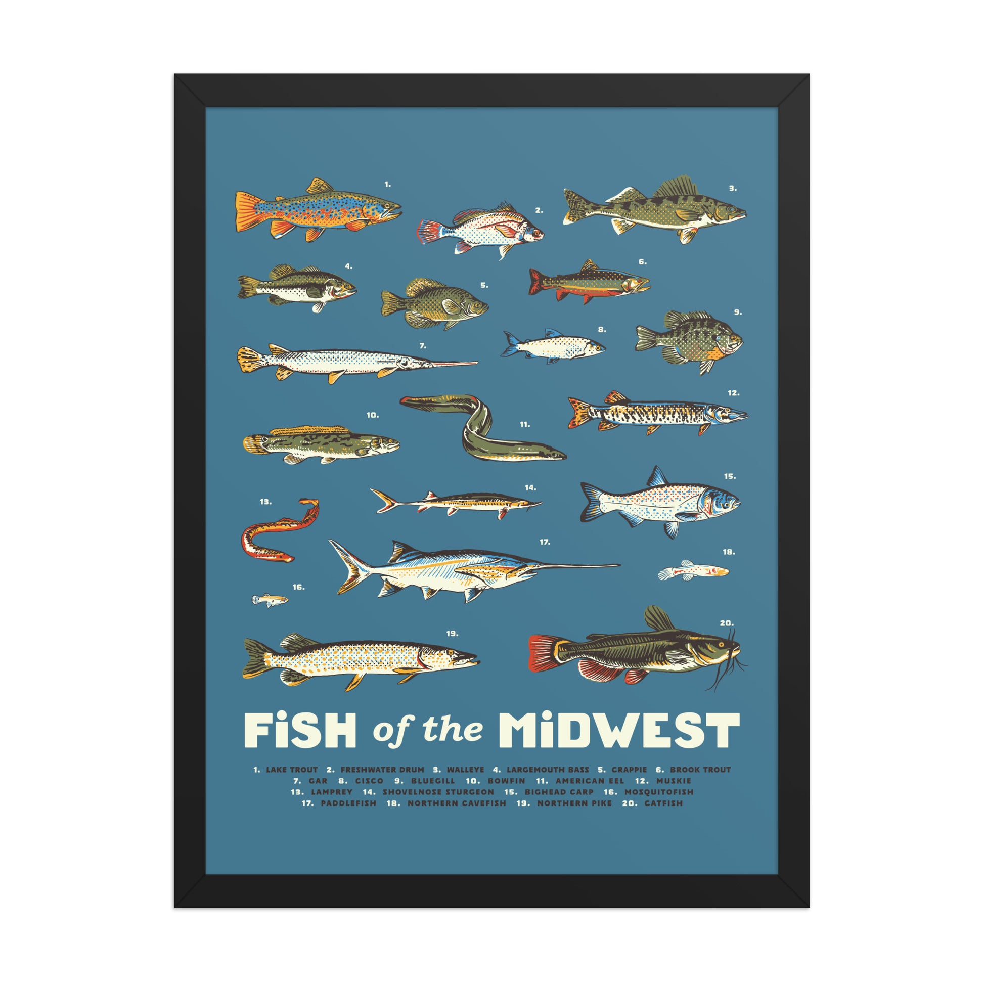 Fish of the Midwest Poster - United State of Indiana