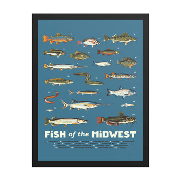 Fish of the Midwest Poster - United State of Indiana