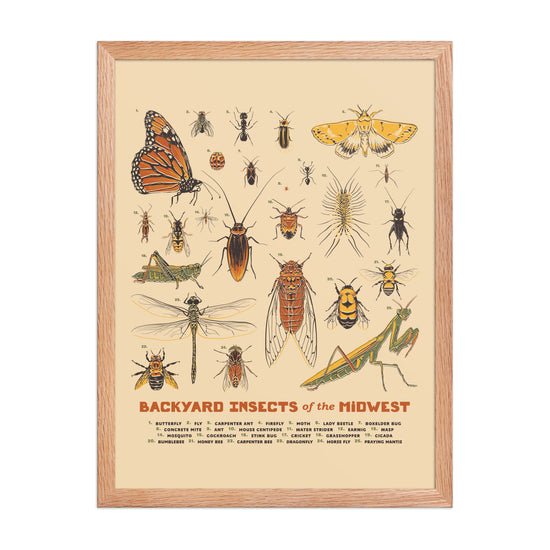 Backyard Insects of the Midwest Poster - United State of Indiana