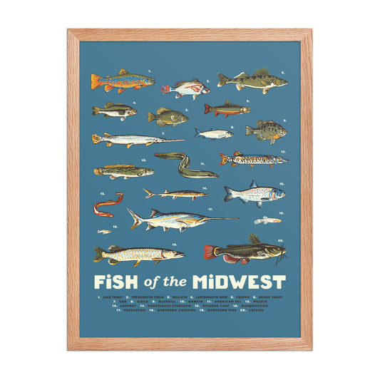 Fish of the Midwest Poster - United State of Indiana