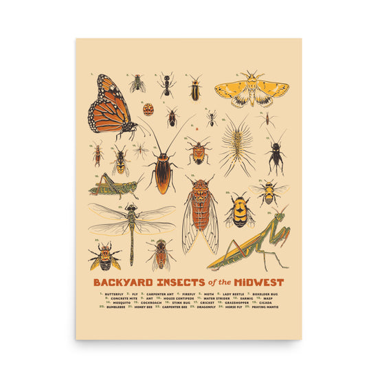 Backyard Insects of the Midwest Poster - United State of Indiana