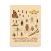 Backyard Insects of the Midwest Poster - United State of Indiana