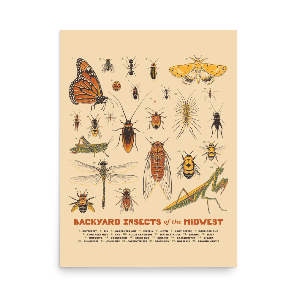 Backyard Insects of the Midwest Poster - United State of Indiana
