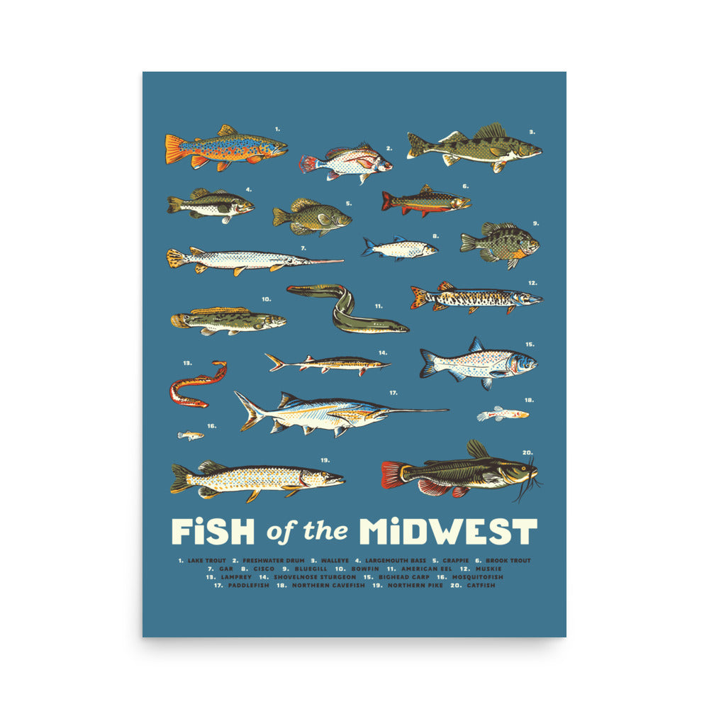 Fish of the Midwest Poster - United State of Indiana